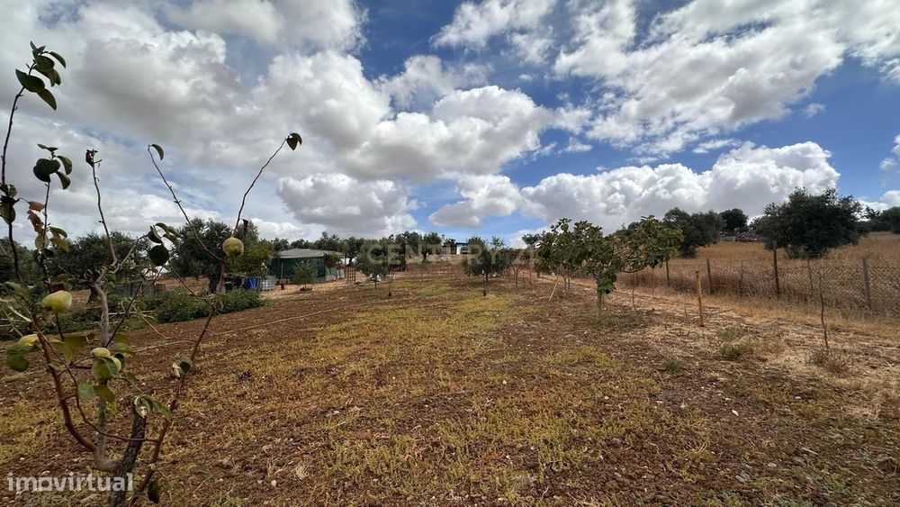 Quinta em Trigaches — 1 hectare em comunhão com a natureza