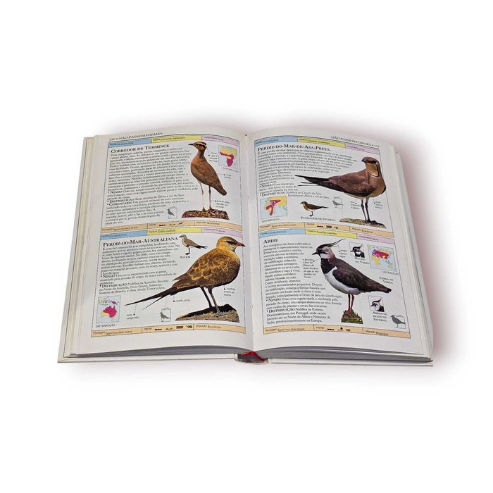Aves do Mundo – Guia Ilustrado Ornitologia | Segredos da Natureza