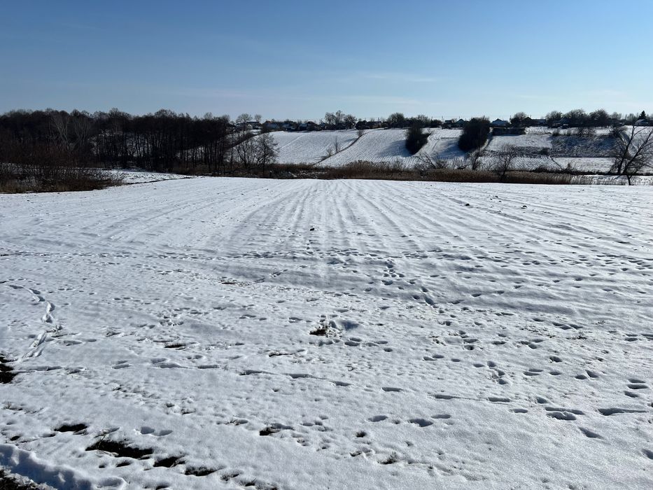 Будинок в Диканському район, с.Балясне, Полтавщина