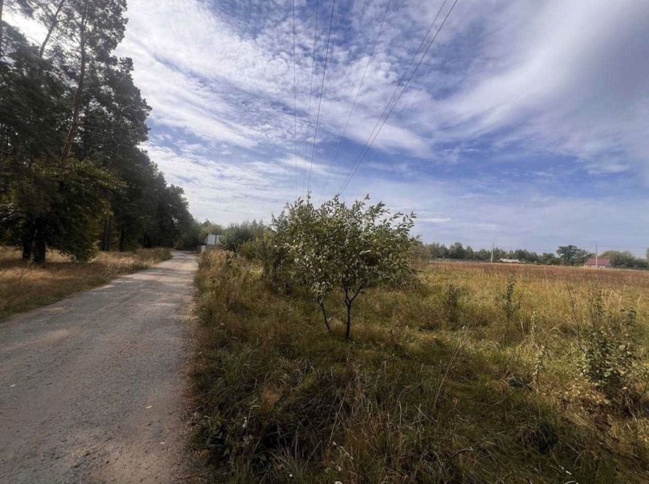 Бабинці. Ділянка під будівництво біля лісу. Без комісій!