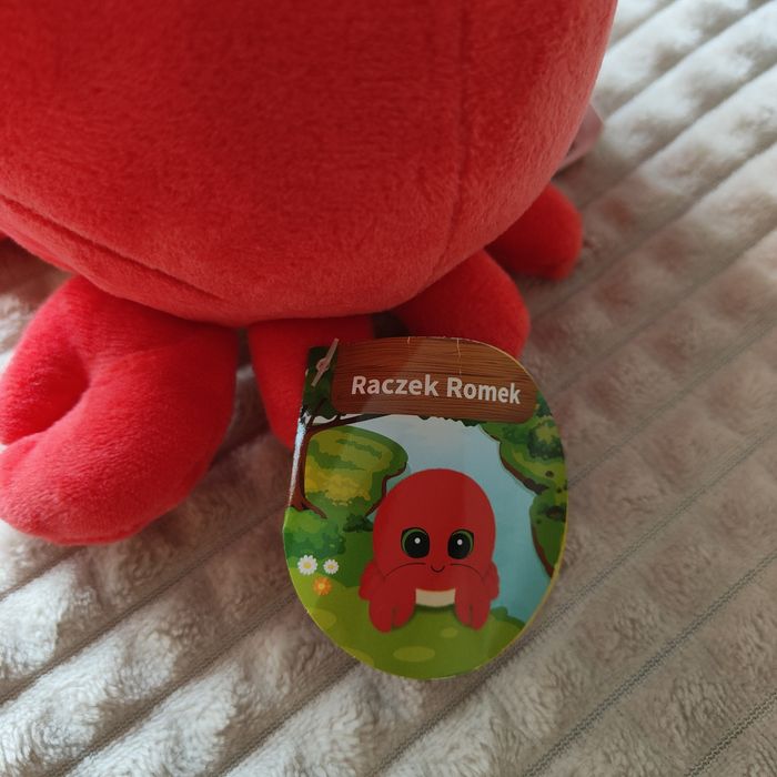 Raczek Romek. Biedronka.