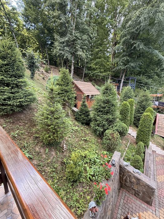 Гостьовий  будинок 2 Ведмеді, с. Шаян