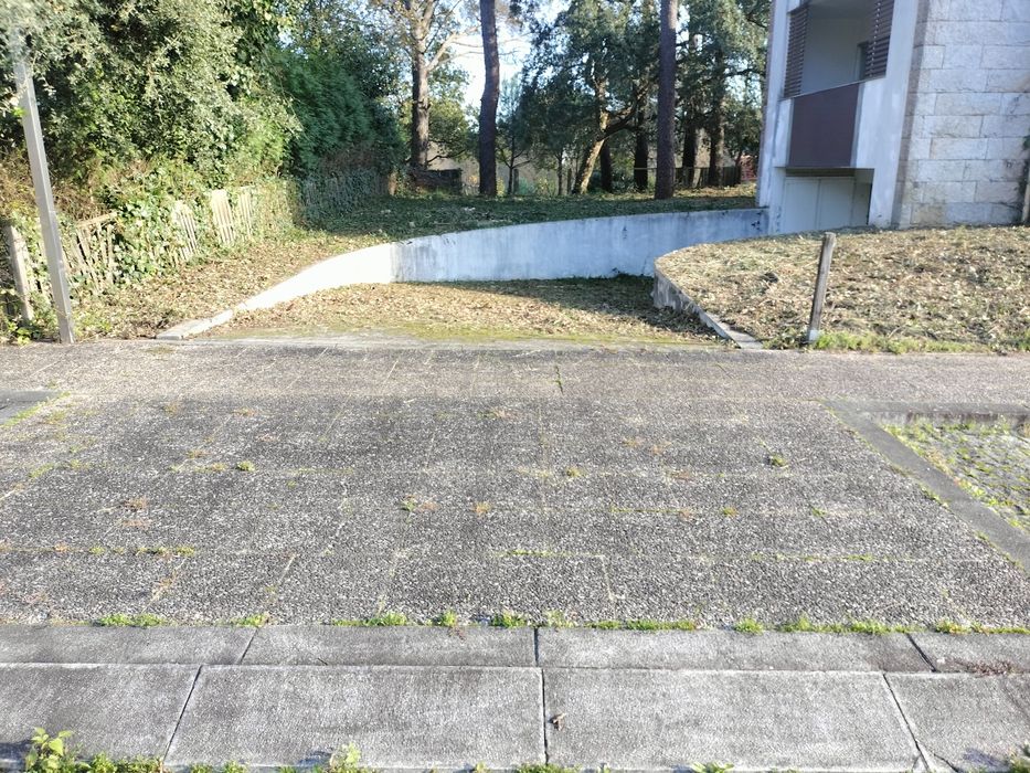 Limpeza de terrenos mato e jardins