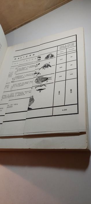 Comemoração do Primeiro Centenário | Associação dos Arqueólogos Portugueses (2 Volumes, 1966)