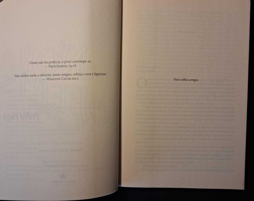 Livro "Pedra Pagã" - Nora Roberts
