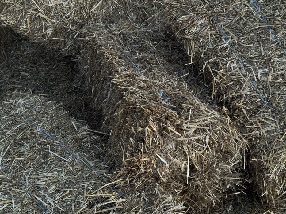 Продам солому є доставка в наявності 350 тюків