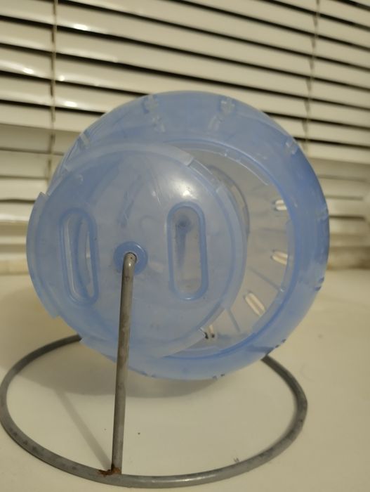 Куля для хом'яка