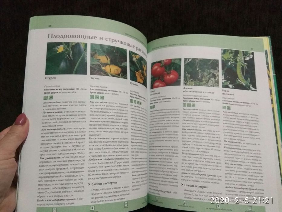 Йоахим Майер - Ваш сад