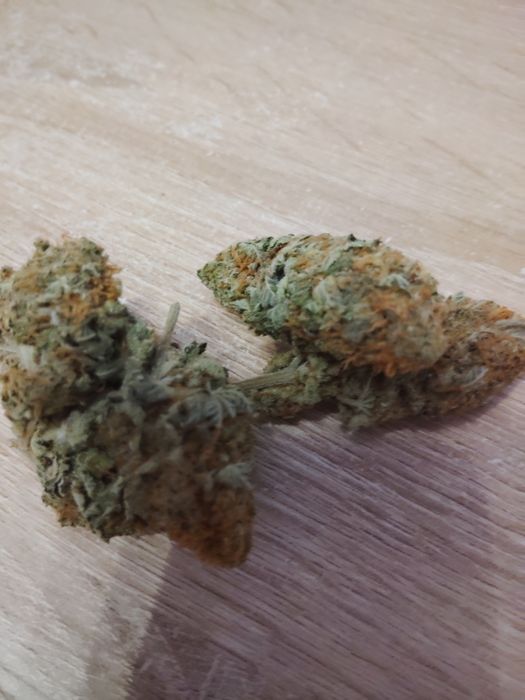 NORTHERN LIGHTS CBD 27% CBG 12,10% THC <0,3% 10g