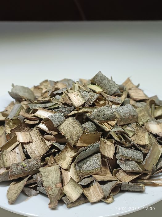 Кора осины свежий сбор.