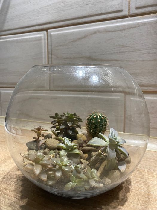 НОВА простора квартира подобово, Центр