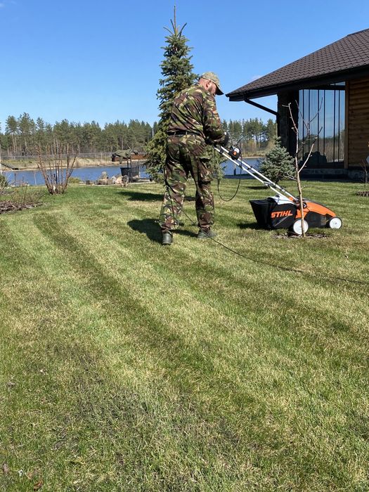 Професійний догляд за насадженями. Озеленення