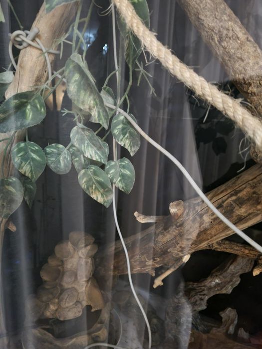 Terrarium szklane
