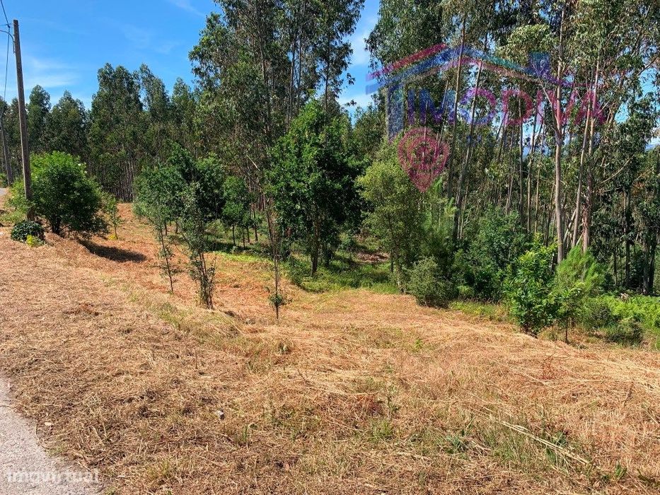 Rustic Land with Urbanization Potential