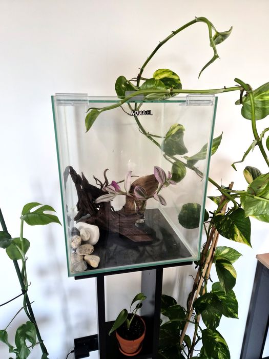 Akwarium aquael kostka krewetkarium terrarium