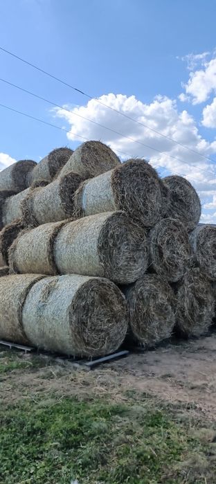 Sprzedam słomę w balach