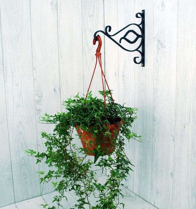 Wieszak Hak Uchwyt metalowy kuty na doniczkę (W65)