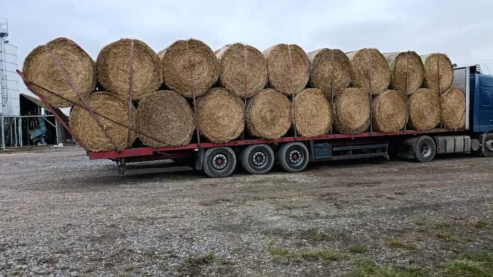 Sprzedam słomę pszenną belki 160 cm