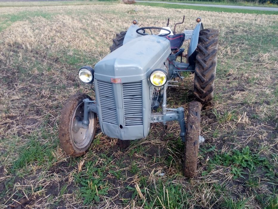 Ferguson tea 20 zarejestrowany. Sprzedam. Poddębice • OLX.pl