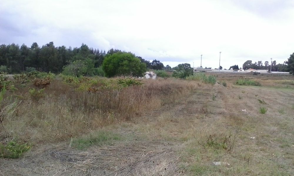 5000 m2 quinta Terreno com ruína troca ou permuta Marinhais