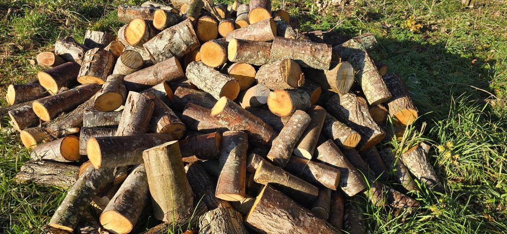 Drewno opałowe Olcha