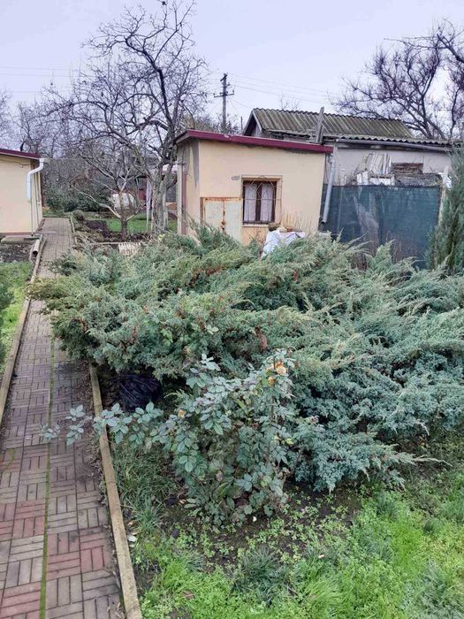 Продам дом-дачу в Светлом. р8