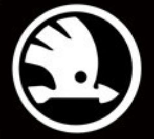 Підсвічування дверей Skoda Superb / Speedster, LED підсвітка дверей