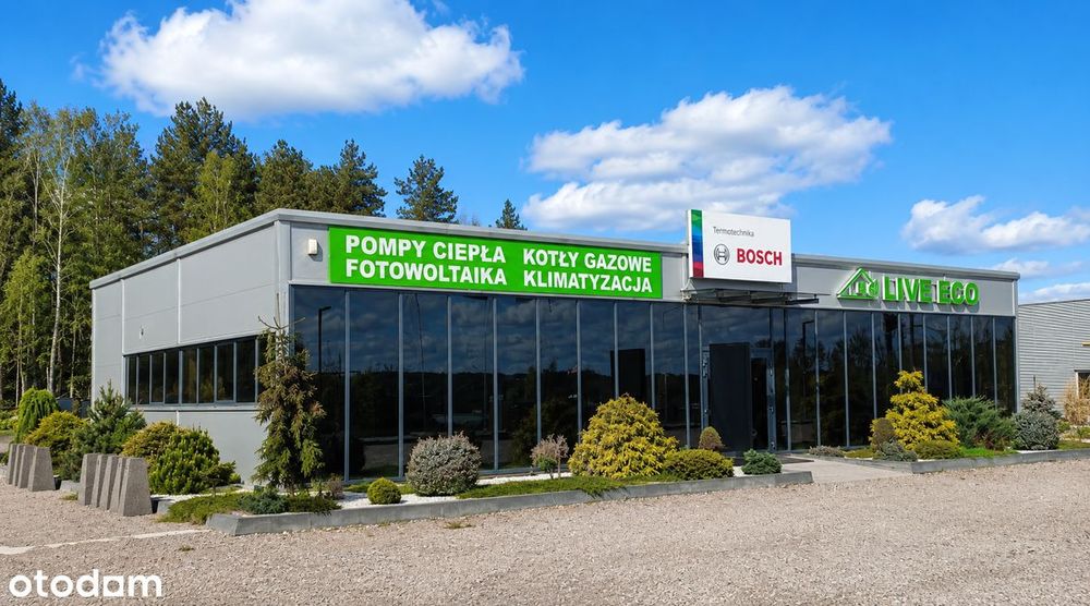 Zdjęcie 3