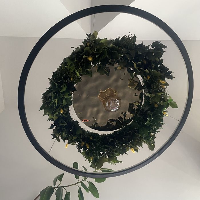 Żyrandol, lampa z zielenią naturalną, Lampa LED, Garden