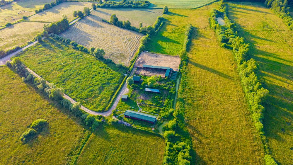 Ranczo,  7km od Gdańska, bez sąsiadów, wsród natury