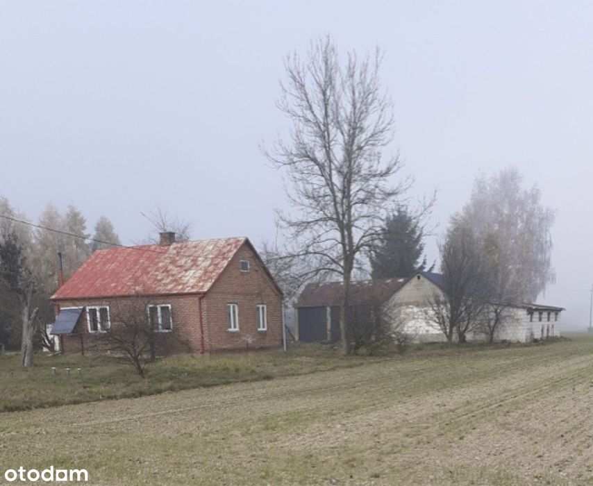 Działka 44a z mediami w gminie Sułów - Widok 2