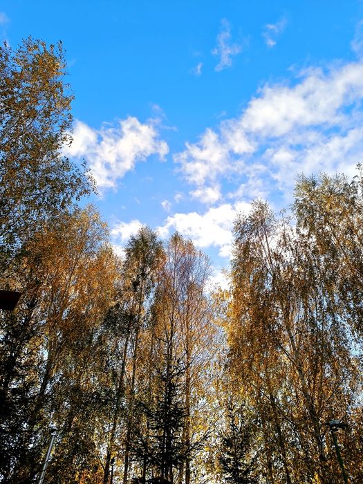 Domek z kominkiem,jacuzzi,sauna,jezioro