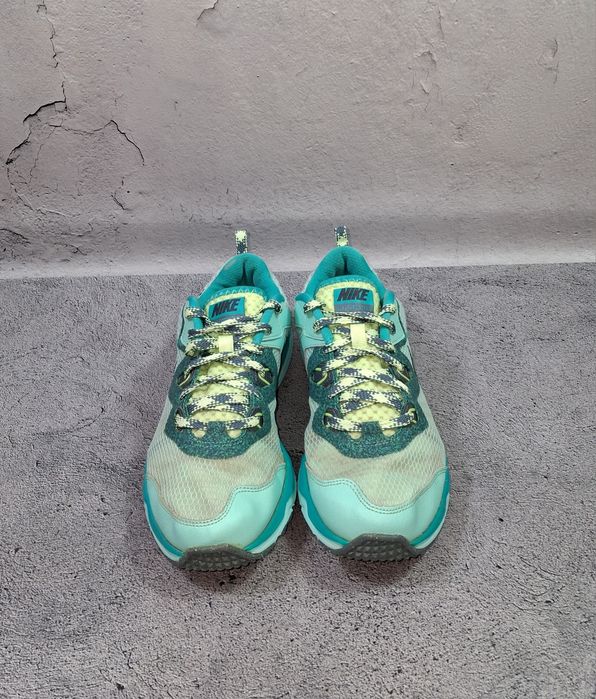 Кроссовки Nike Dual Fusion беговые спортивные Running Downshifter