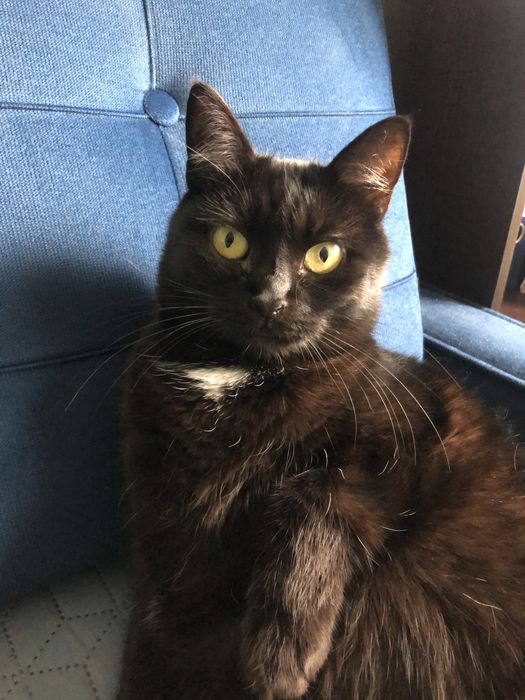 „Jutro wracam do azylu… Czy znajdzie się jeszcze dla mnie dom?”