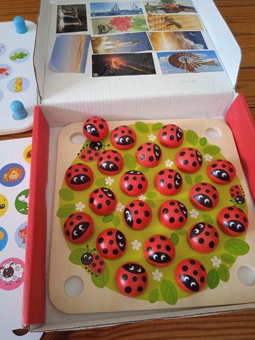 Дитяча дерев'яна гра LADYBUG
