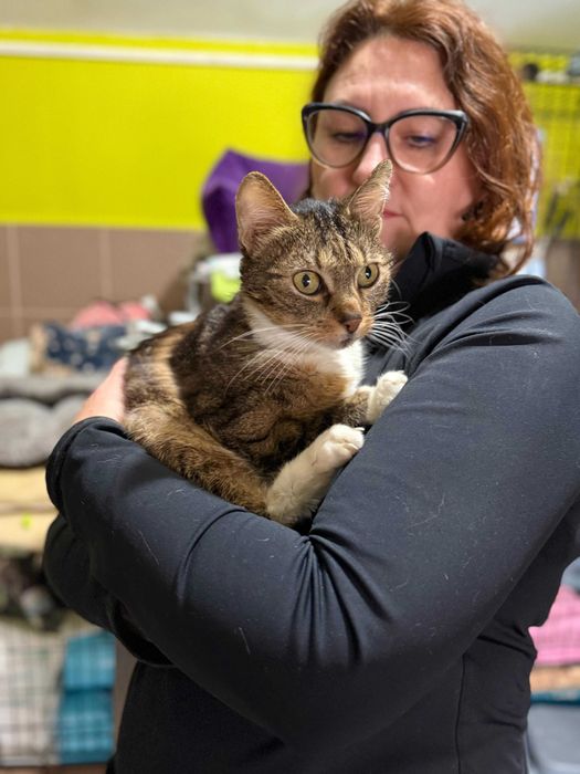 Piegusek marzy o spokojnym domu