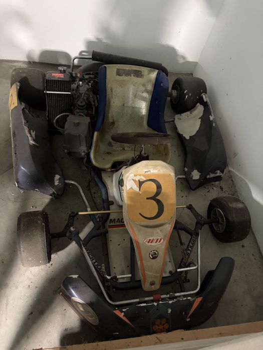 Kart 125cc 2T - Motor Rotax