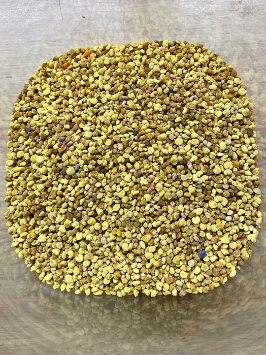 Pyłek pszczeli 1 kg – naturalny, prosto z pasieki