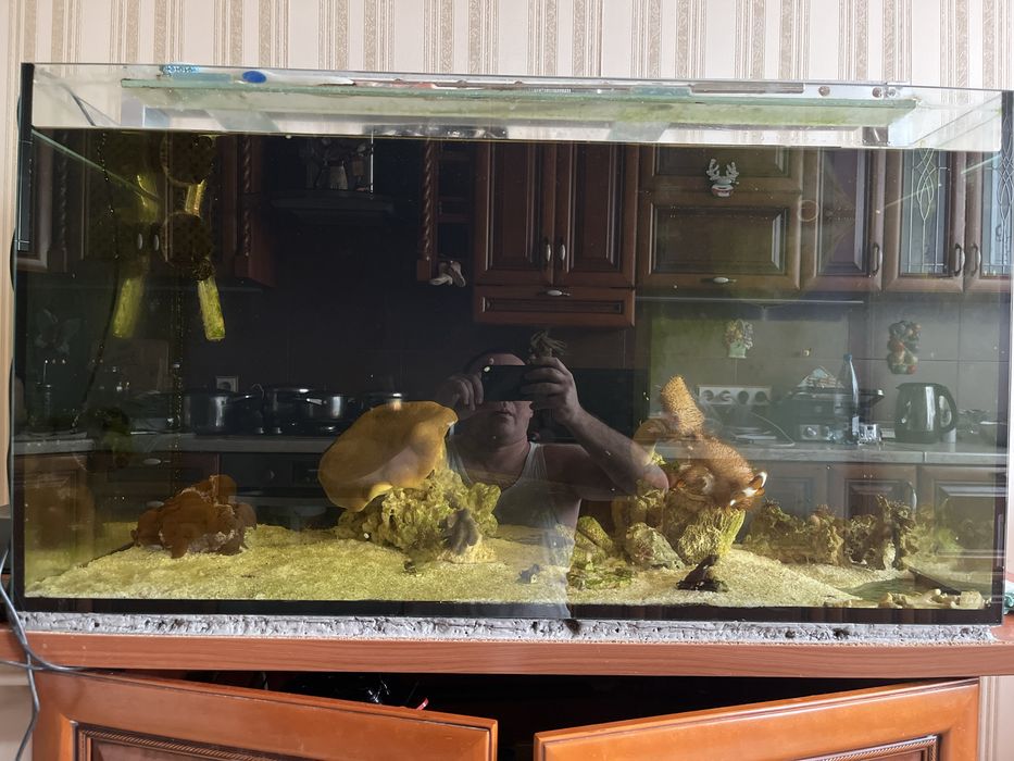 Акваріум 275л - 100*55*55см