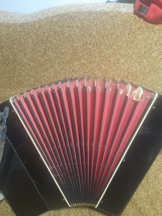 Akordeon guzikowy 96basów 5-churowy