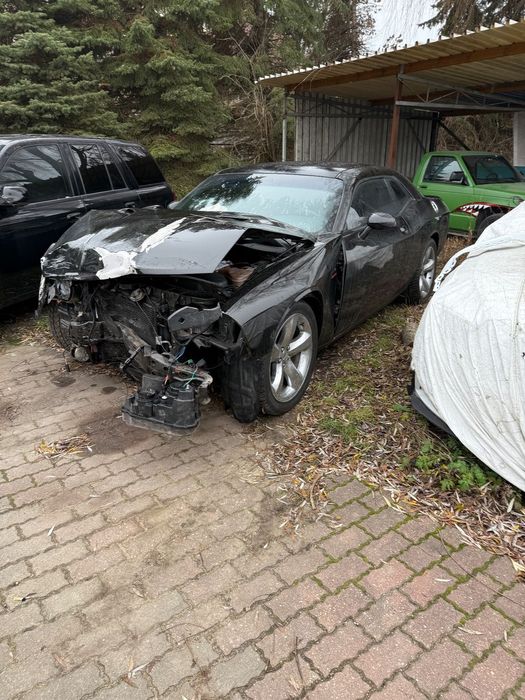 Dodge Challenger Dodge challenger najtańsze v8