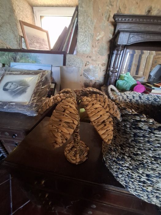Conjunto                 Cesto com uma palmeira