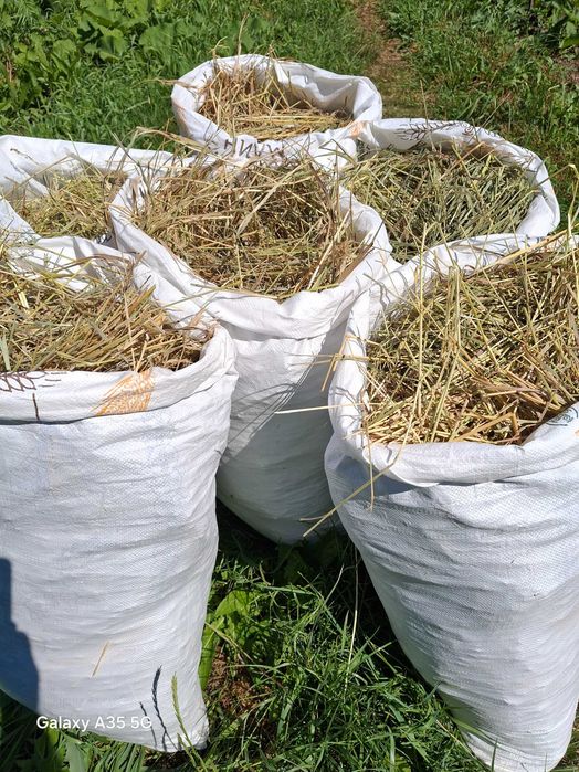Сіно зелене в мішках 3,5 кг