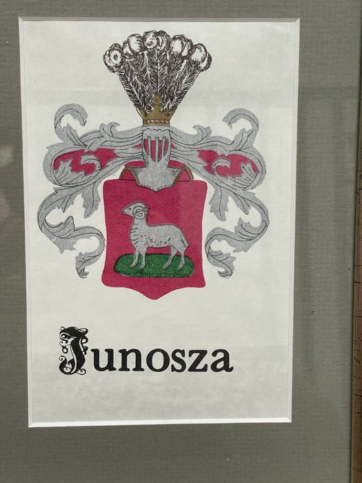 Stare Grafiki Herb Leliwa Junosza w Oprawie