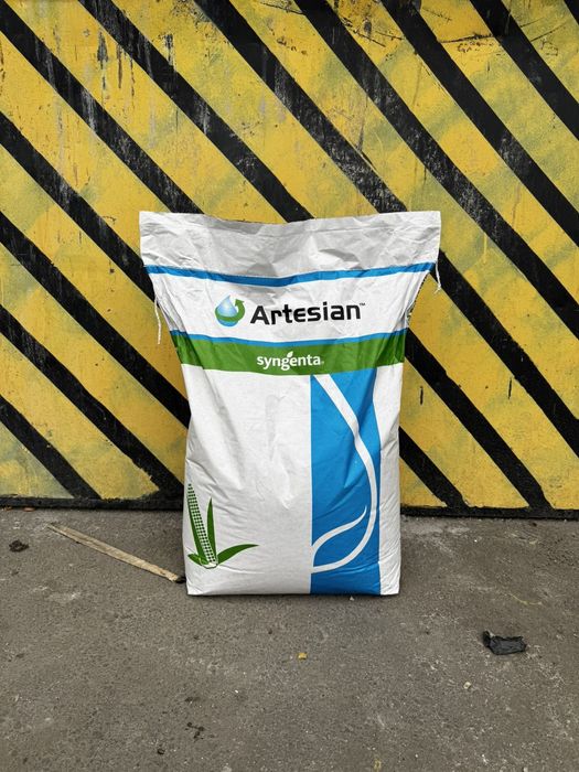 Насіння кукурудзи Сінгента Сі Чорінтос|Syngenta SY CHORINTOS