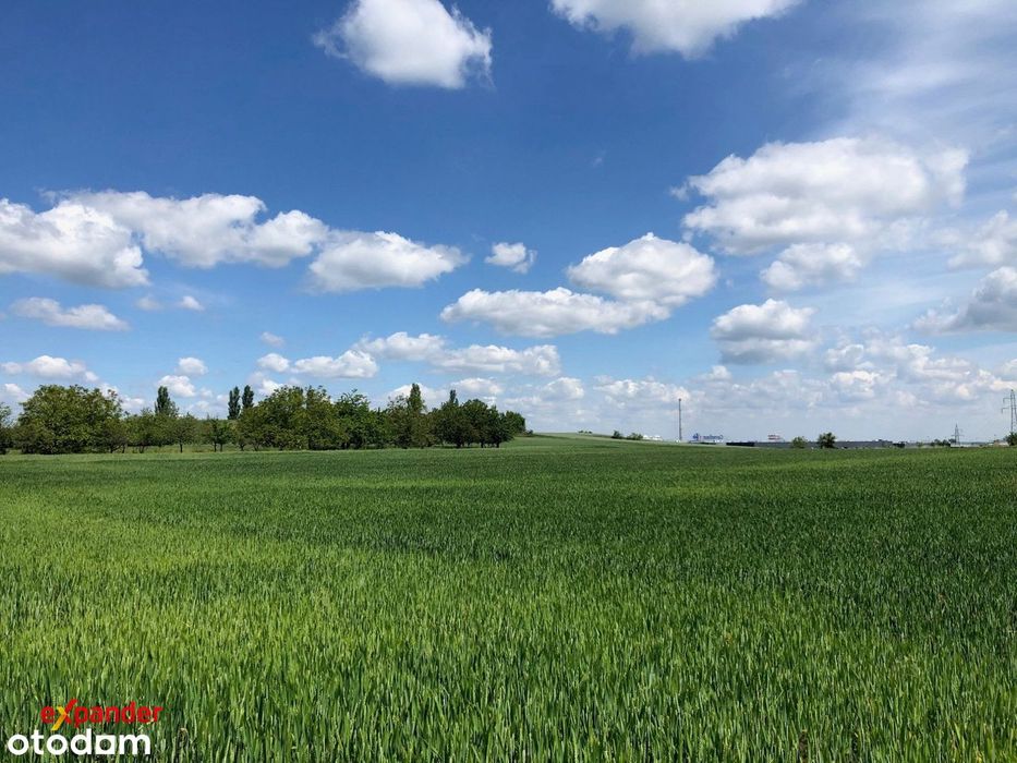 MPZP | Działka budowlana | Głogów | okazja - Widok 3