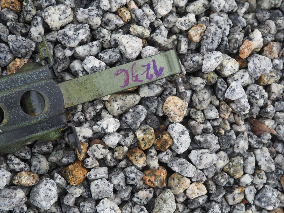 Ogranicznik drzwi mercedes W123 coupe