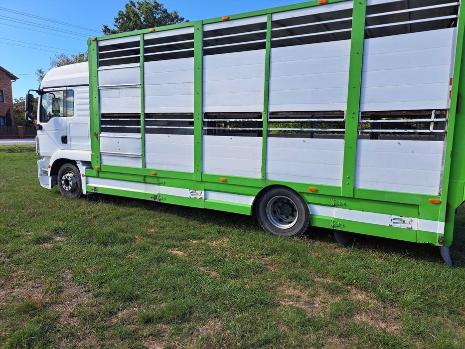 Man TGM 12.290  daf