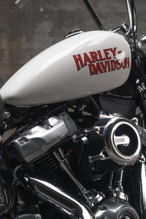 Harley Davidson Softtail Custom