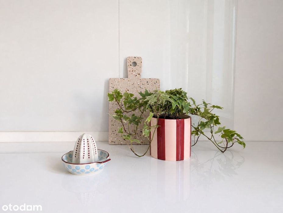 Mieszkanie 38 m² w samym sercu miasta